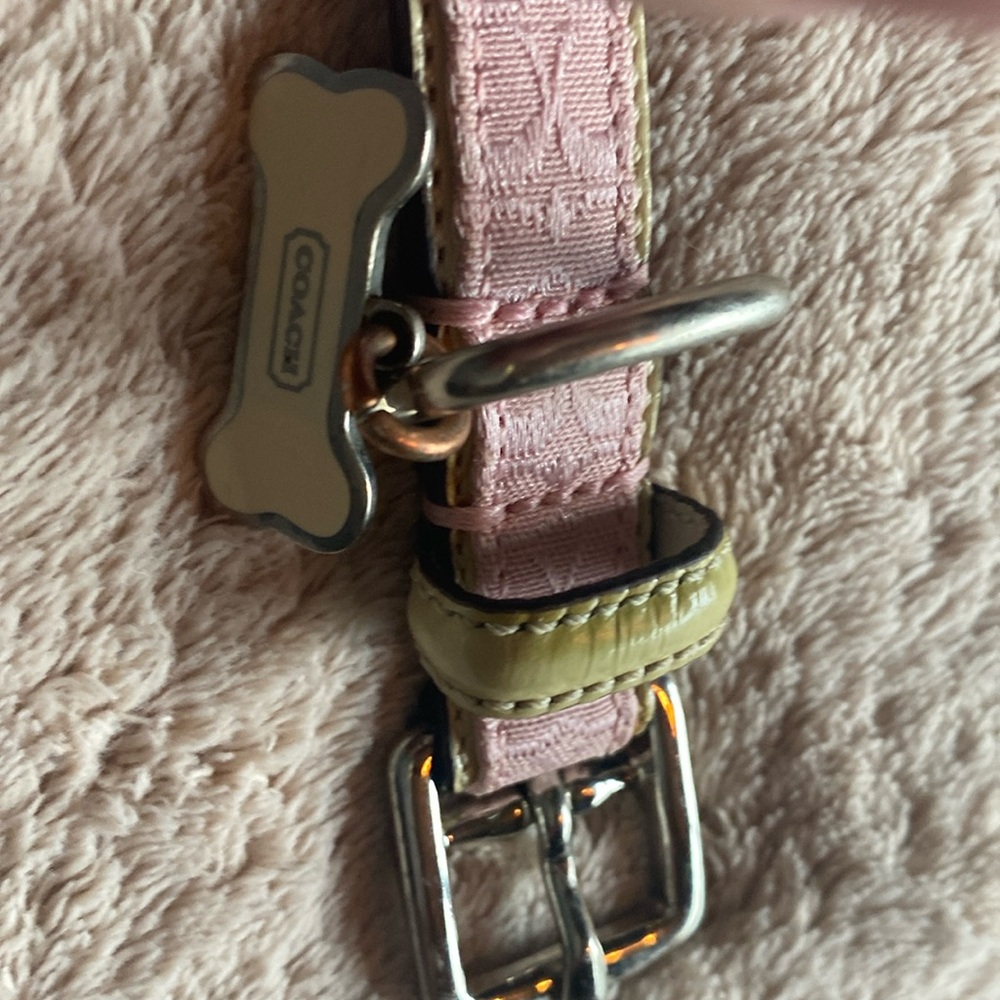 AdorableCoach pink & cream leather trim. Signature dog collar.